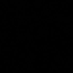 Meet your Posher, Natasha